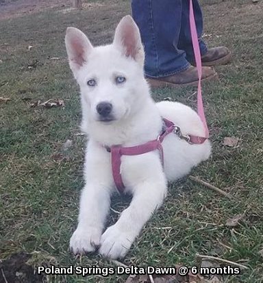 imageedit_3_3026156138