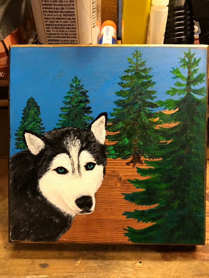 Have no Fear: – Life with Siberian Huskies