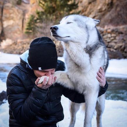 23658435_1985683291684461_2962274294736045393_n