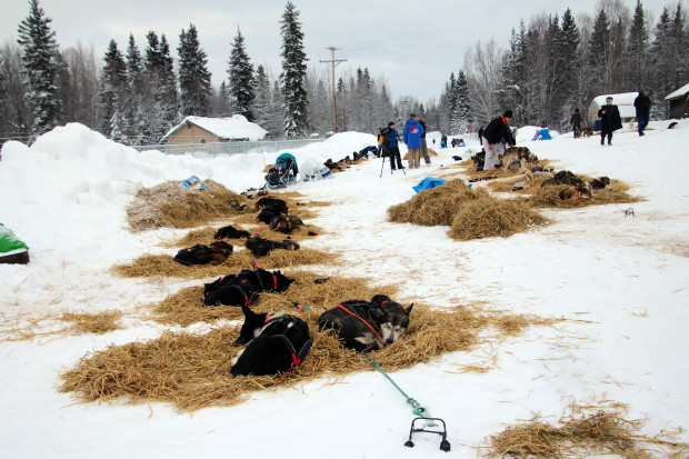 0323_nws_ldn-l-mccarthy-iditarod-04-0323