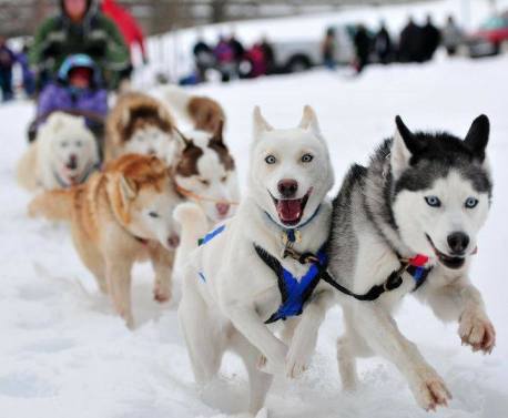 22050014_1462196530533546_5535569902424990901_n