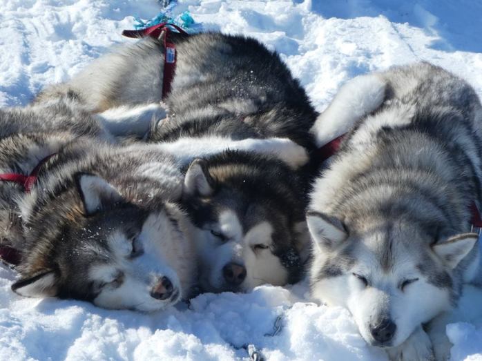 32860166_2119803194928809_6964419303030390784_n