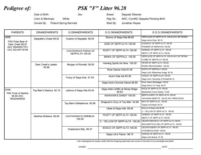 PSK F Litter-page-001